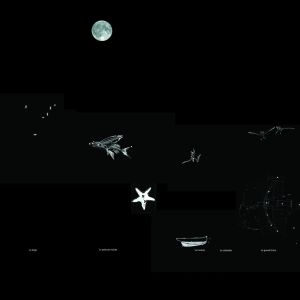 Illustration de la carte des constellations et dessins animés de l'oeuvre Aster à Saint-Etienne-Cantalès