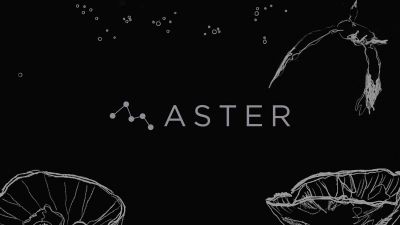 Visuel de présentation de l'oeuvre Aster