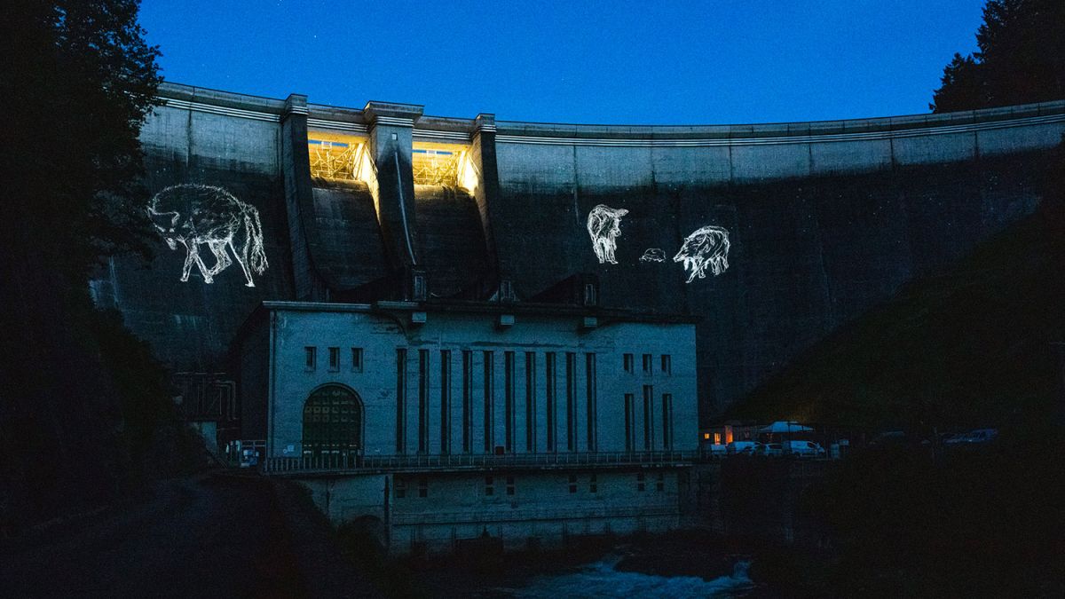 Projection animée des loups, oeuvre Aster sur la voute du barrage de Saint-Etienne-Cantalès